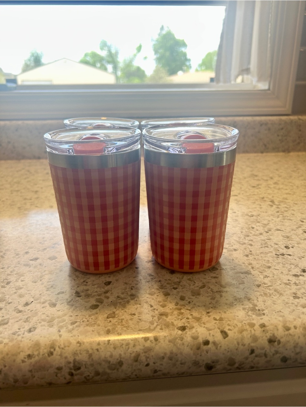 Magnolia Heart and Hand Gingham Insulated Tumblers with Lids - Washed but New!